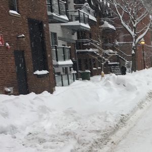 Meet your Posher, Guylaine